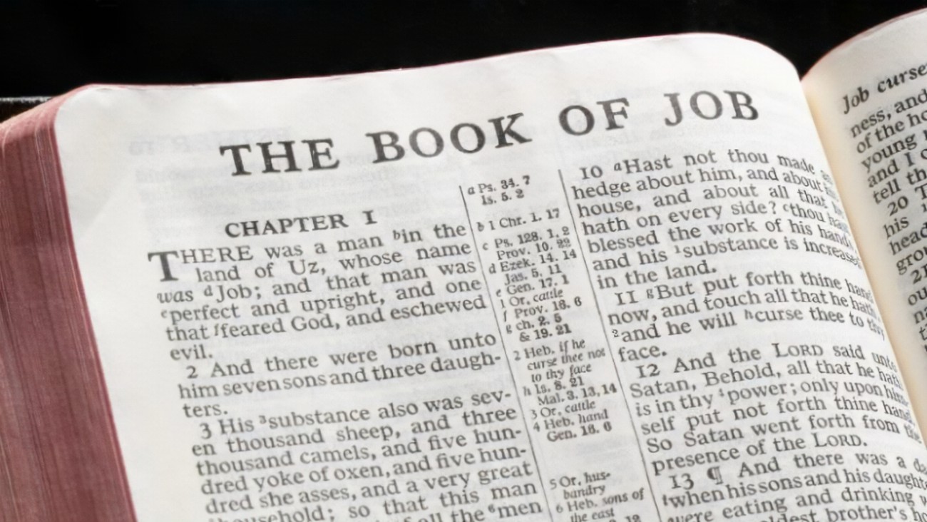 The Book of Job The Book of Job